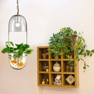 水培植物吊燈｜鐵藝+玻璃 E27 LED 按鈕 110-220V 10-15㎡ 可調高1m 15.5cm 金/白/黑 可改軌道燈 北歐 代客安裝